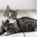 ���� �����, ����, 32 ���� - ��������� 24 ����� 2023 � ������ ���� ����������