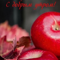 ��������, �����������, 54 ����