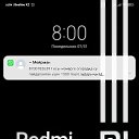 ���� �����, ������, 20 ��� - ��������� 4 ������� 2023 � ������ ���� ����������