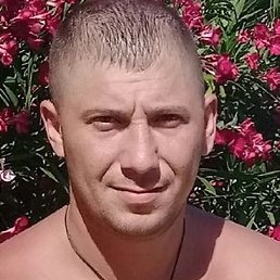 �����, ������, 36 ���