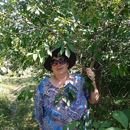 �������, �����, 53 ����