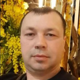 ������, ������, 46 ���