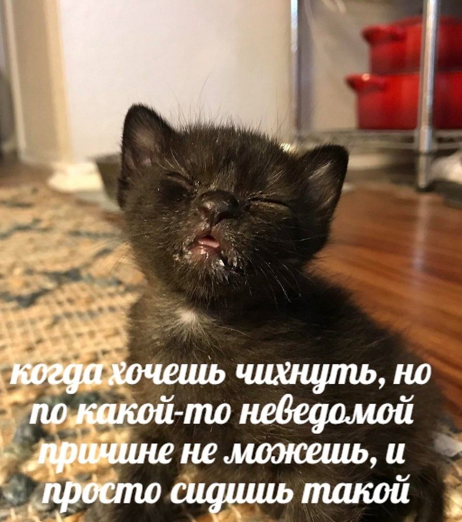    - 21  2023  16:40