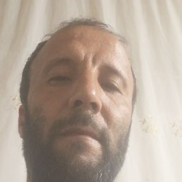 ����, �������, 49 ���