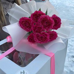 �����, �����������, 45 ���