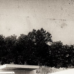 Daniel, ���������, 44 ����