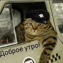 ���� ������, �����������, 46 ��� - ��������� 21 ��� 2023 � ������ ���� ����������