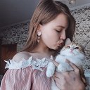 ���� ������, ���������� �����, 23 ���� - ��������� 19 �������� 2023 � ������ ���� ����������