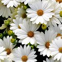 ���� ���, �������������, 37 ��� - ��������� 3 ����� 2023 � ������ ���� ����������
