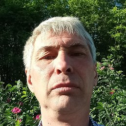 ����, ������, 54 ����