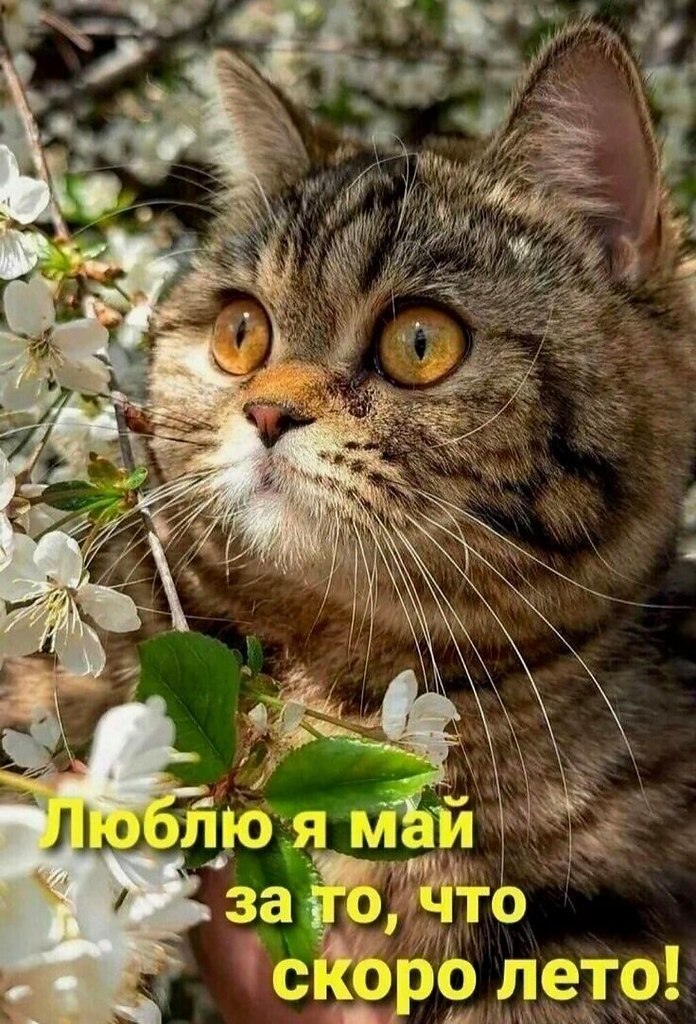 ~~~