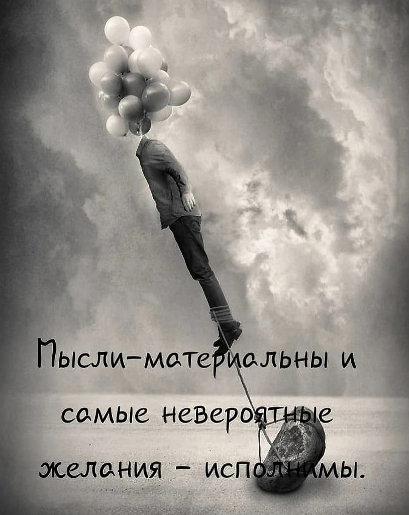  .zdms