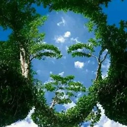 Vimarn, �����������, 27 ���