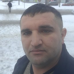 �����, �����-���������, 37 ���