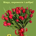 ���� ���������, �������, 48 ��� - ��������� 8 ����� 2023 � ������ ������ ��������