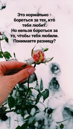   - 15  2023  08:45