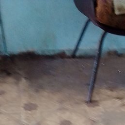 , , 38 