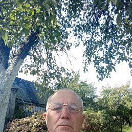 ���� ���������, �����, 58 ��� - ��������� 17 ���� 2023