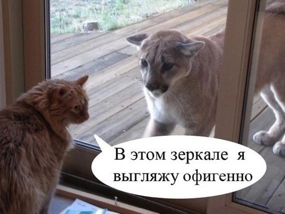 Как нелепо было бы, если бы слон, устав бродить по земле, захотел летать, есть кроликов и ...