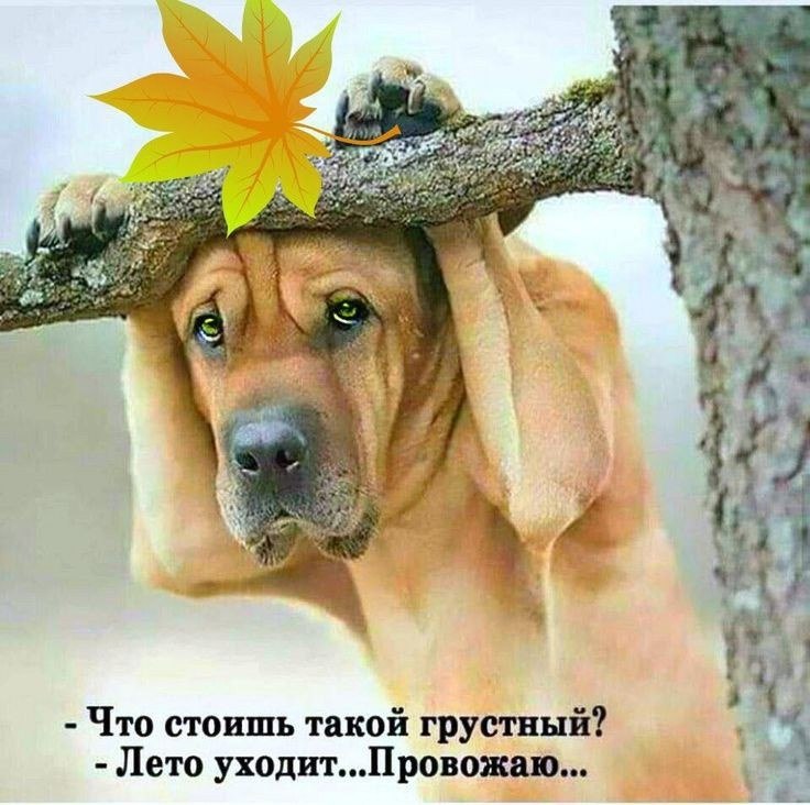   - 24  2023  11:30