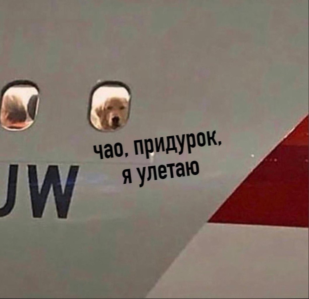    - 26  2023  23:43