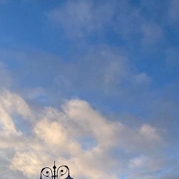 ���� ������, ������, 51 ��� - ��������� 12 ����� 2023