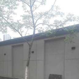 ���, �����, 39 ���