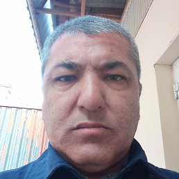 �����, �������, 54 ����