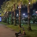  , , 49  -  5  2023   л