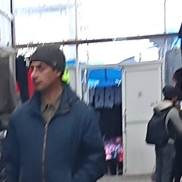 �����, ����������, 46 ���