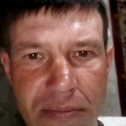 �������, �������, 38 ���