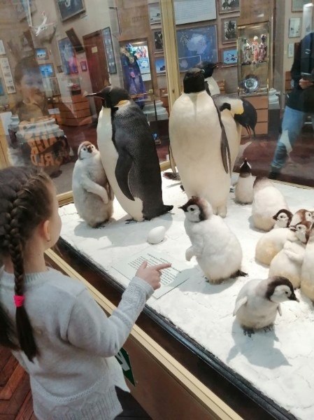 [https://fotostrana.ru/away?to=/sl/nuF   