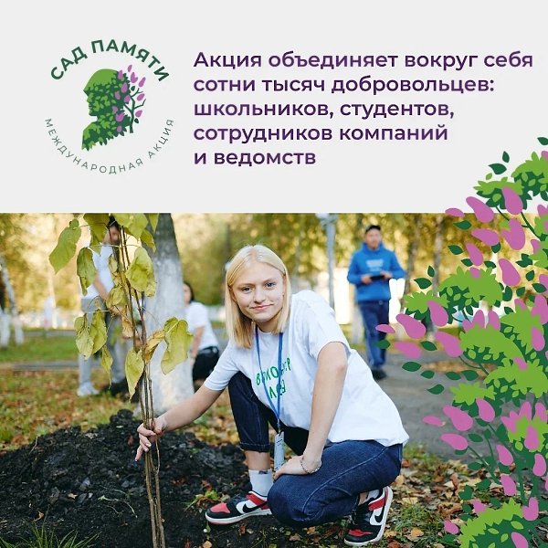 Высади дерево в память о своем герое – защитнике Отечества. Присоединяйся к акции #СадПамяти, цель ... - 9