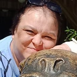 �������, ������, 50 ���