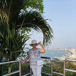 �����, ������, 66 ���