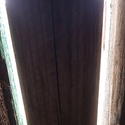 �������, ������, 44 ����