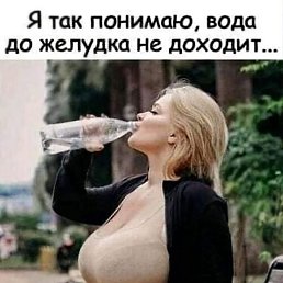 ,  (), 40 