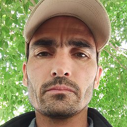 ����, �����������, 44 ����