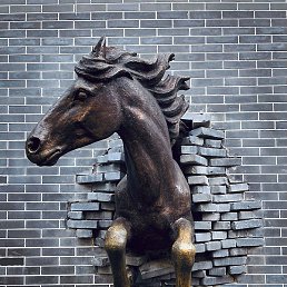 ����, ������, 25 ���