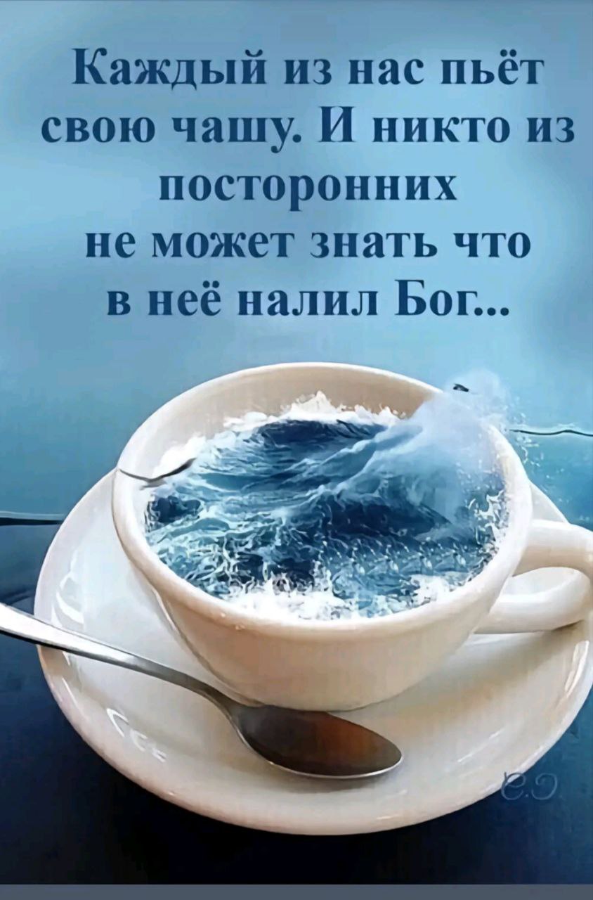  (0 - 8  2023  17:53