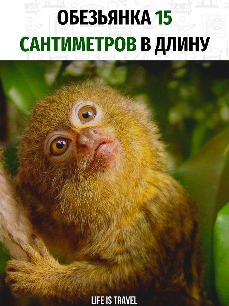    .    !    . -  ...