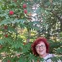 ���� �����, �������� - ��������� 25 �������� 2023 � ������ ���� ����������