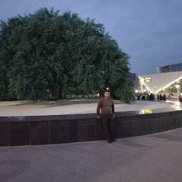 ������, ������, 44 ����