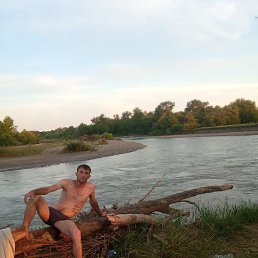 �����, �������, 37 ���