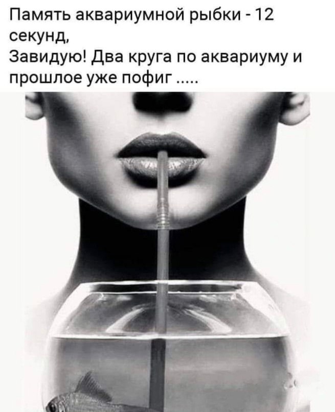   - 13  2023  20:26
