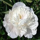 ���� �������, ���������, 67 ��� - ��������� 7 ���� 2023