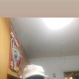Greggi Alberto, ������, 42 ����
