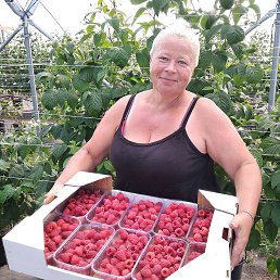 ���� ���������, �����, 53 ���� - ��������� 30 ������ 2023