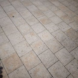 ��� �����������, �����-���������, 43 ����