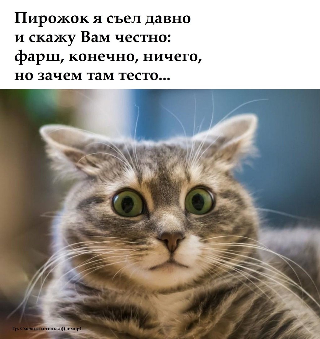  - 1  2023  15:20